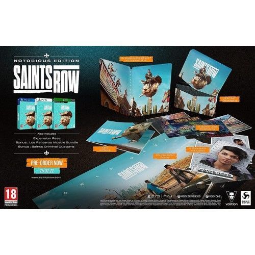 Гра Saints Row Notorious Edition PS4 41635 фото