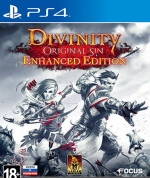 Гра Divinity Original Sin Enhanced Edition PS4 41757 фото
